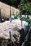 Compost